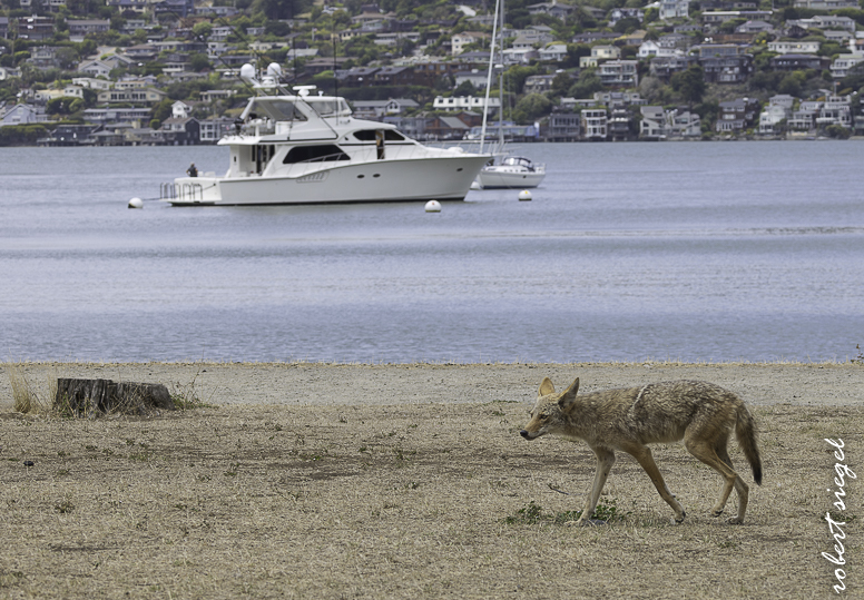 angel island state park